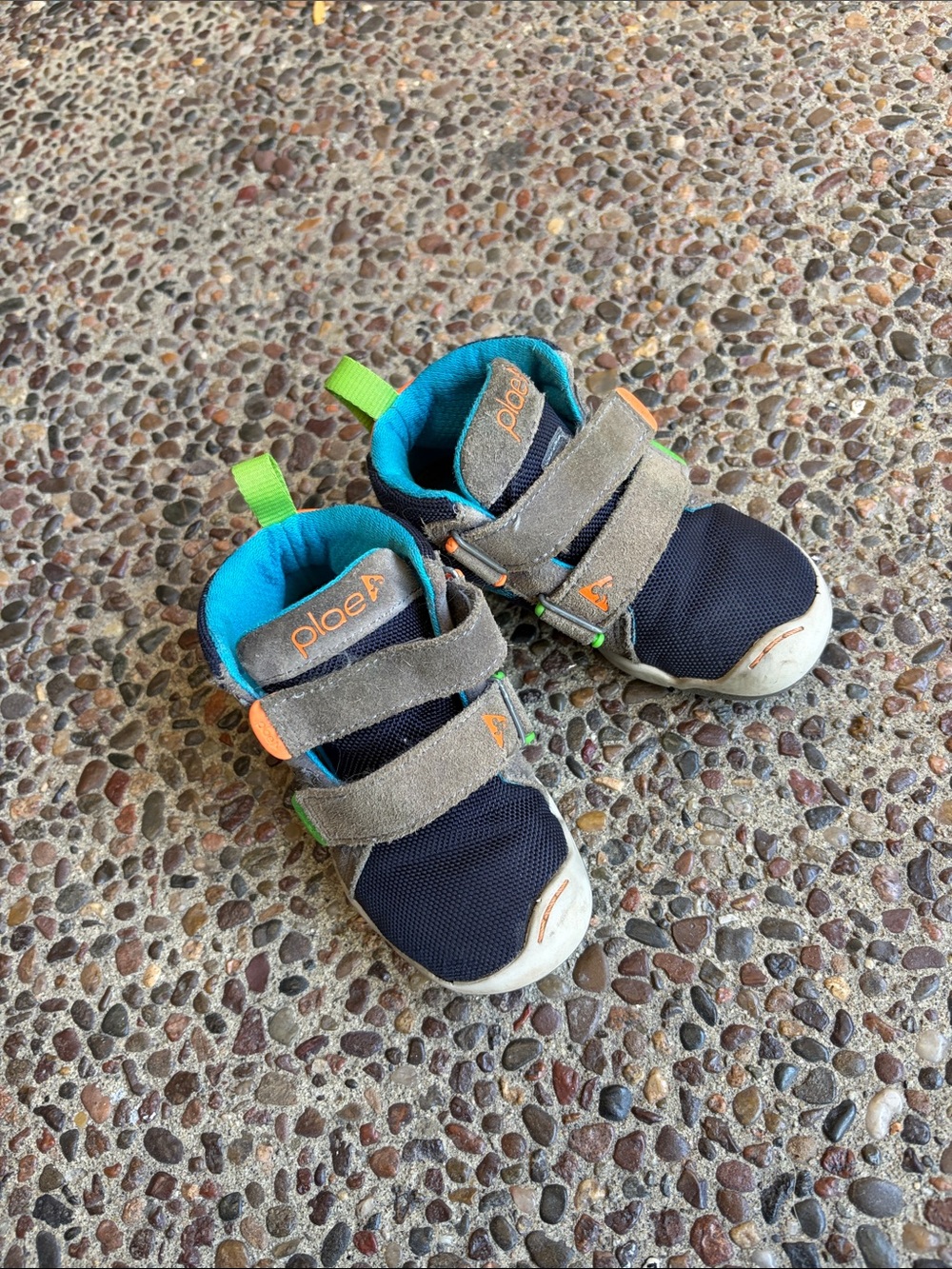 PLAE Navy and Gray Toddler Sneakers with Teal and Lime Accents